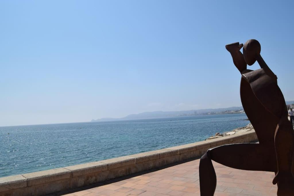 Wind Rose Study Javea