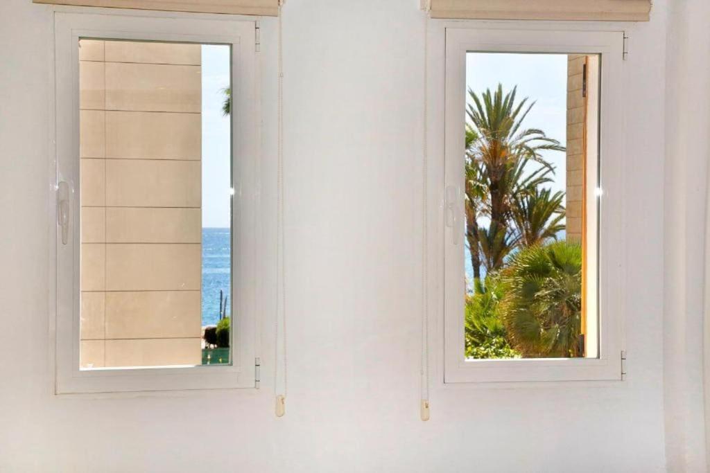Apartment Wind Rose Study Javea