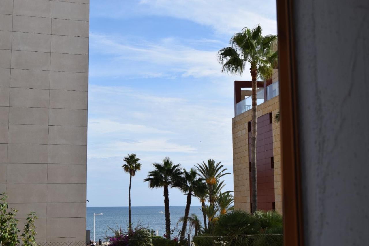Apartment Wind Rose Study Javea