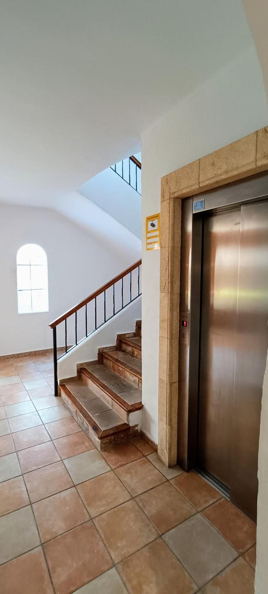 Wind Rose Study Apartment