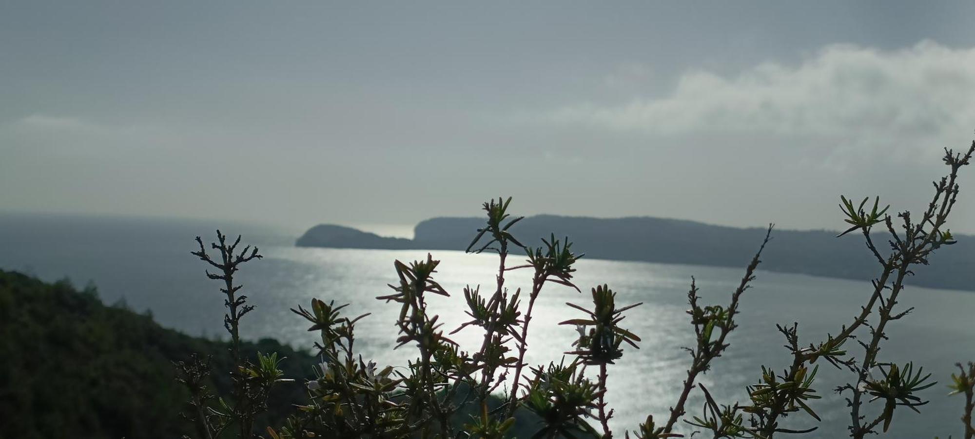 Wind Rose Study Javea