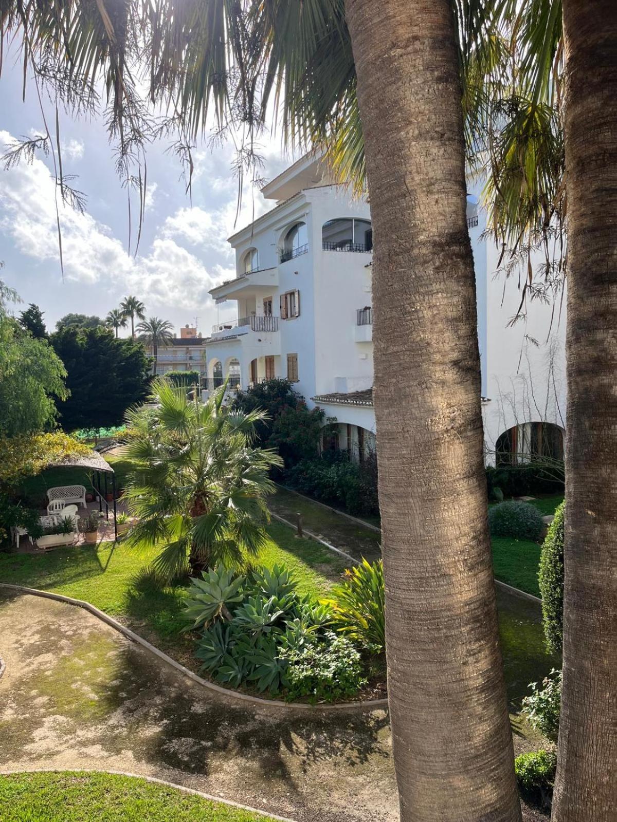 Apartment Wind Rose Study Javea